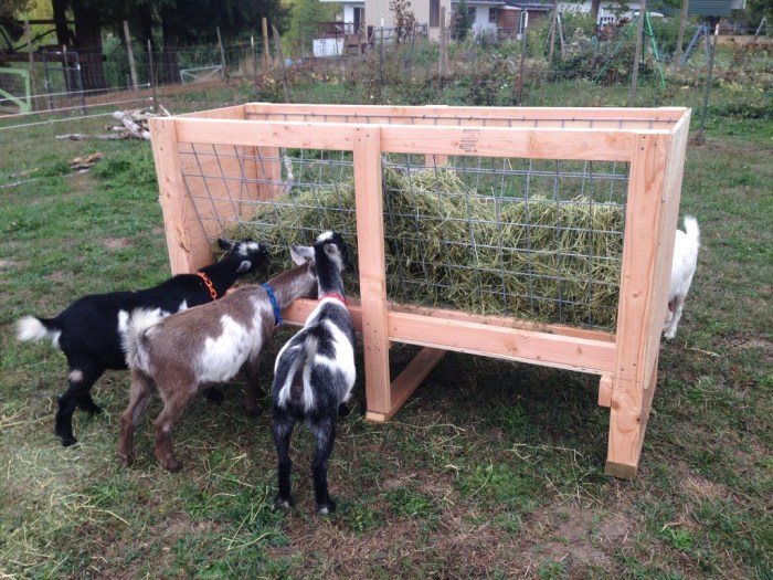 Diy goat feeder