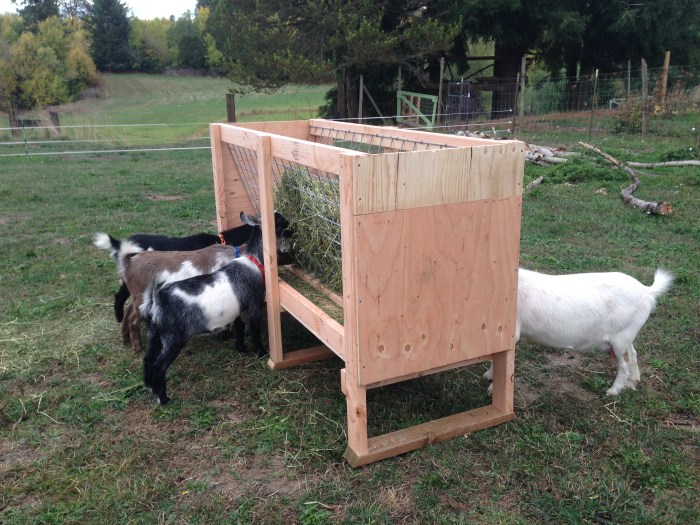 Diy goat feeder