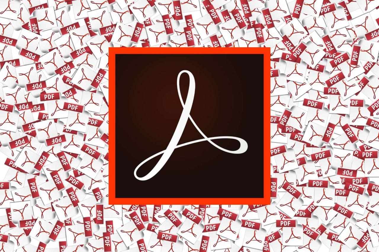 Acrobat reader download