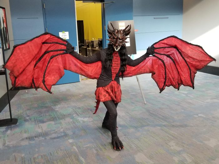 Diy dragon wings