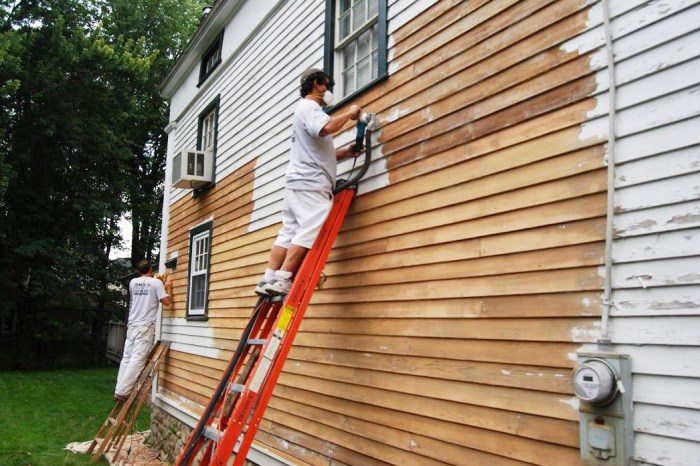 Diy exterior house painting